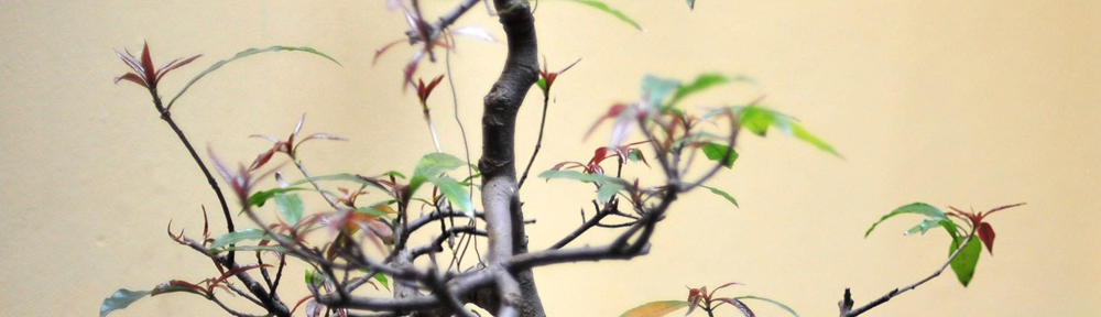 mitsuhikotakahashi.com